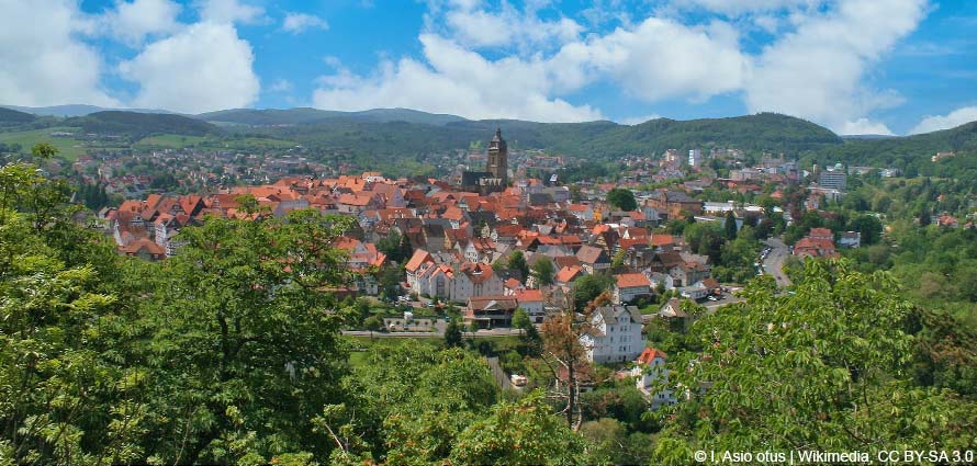 Bad Wildungen Panorama