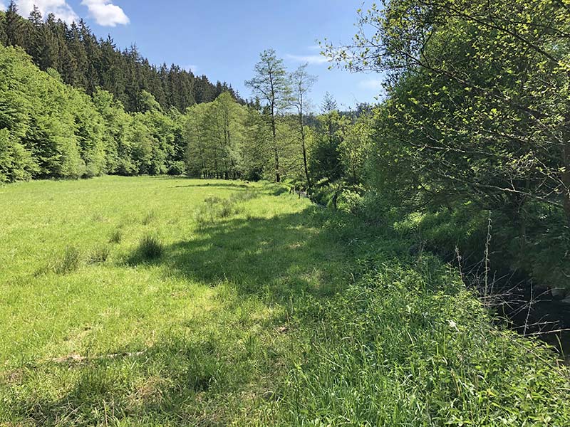 Wandern in Frankenau - Lengelbachtal
