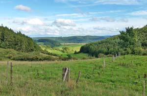 Willingen